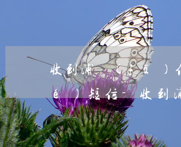 收到浦發(fā)信用卡逾期被凍結(jié)短信-收到浦發(fā)信用卡逾期被凍結(jié)短信是真的嗎