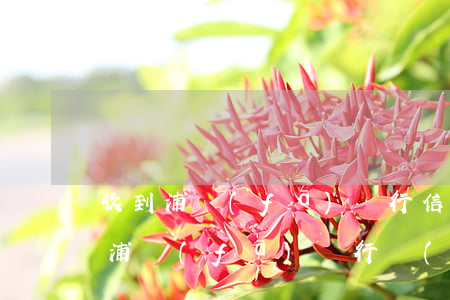 收到浦發(fā)銀行信用卡逾期法院傳票(浦發(fā)銀行發(fā)短信起訴了)