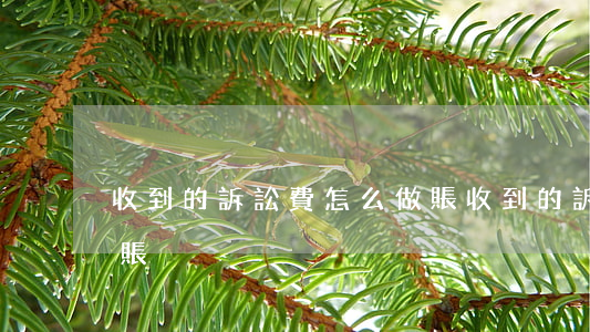 收到的訴訟費怎么做賬(收到的訴訟費怎么做賬)