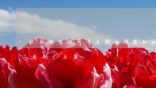 收到短信信用卡逾期核销通知(发短信信用卡逾期已立案)