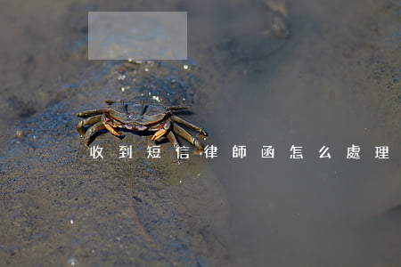 收到短信律師函怎么處理