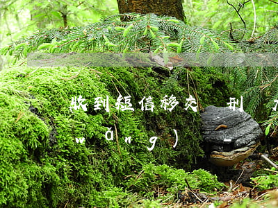 收到短信移交給刑偵大隊(duì)欠網(wǎng)貸-