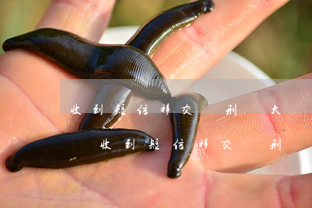 收到短信移交給刑偵大隊欠網(wǎng)貸(收到短信移交給刑偵大隊欠網(wǎng)貸)