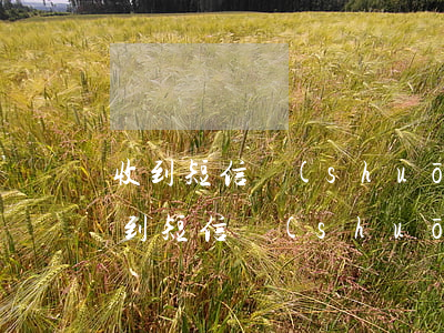 收到短信說(shuō)信用卡逾期詐騙(收到短信說(shuō)信用卡逾期詐騙是真的嗎)