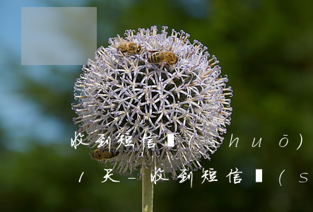 收到短信說(shuō)花唄欠款逾期191天-收到短信說(shuō)花唄欠款逾期191天是真的嗎