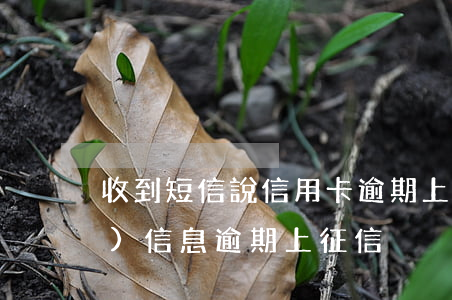 收到短信說信用卡逾期上征信(銀行發(fā)信息逾期上征信)