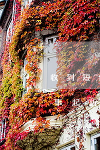收到短信說信用卡逾期被起訴（信用卡逾期民事起訴視頻）