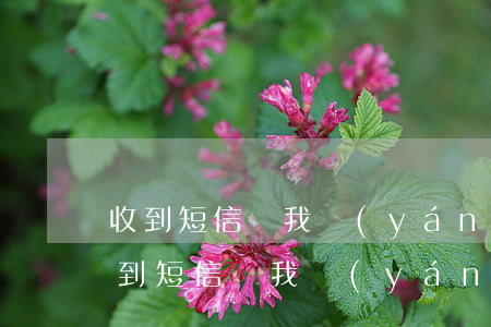 收到短信說我嚴(yán)重逾期要上門（收到短信說我嚴(yán)重逾期）