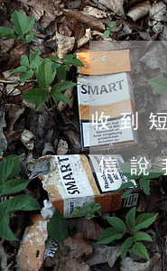 收到短信說我欠錢逾期是真的假的-收到短信說我欠錢逾期是真的假的怎么辦