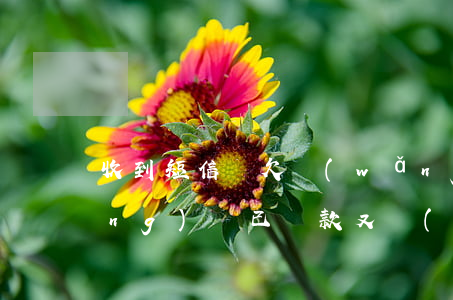 收到短信說欠網(wǎng)貸錢(網(wǎng)貸已還款又發(fā)短信說欠款)