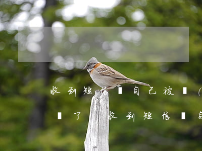 收到短信說自己被網(wǎng)貸公司起訴了-收到短信說自己被網(wǎng)貸公司起訴了是真的嗎