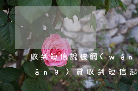 收到短信說被網(wǎng)貸起訴(網(wǎng)貸收到短信起訴書是真的嗎)