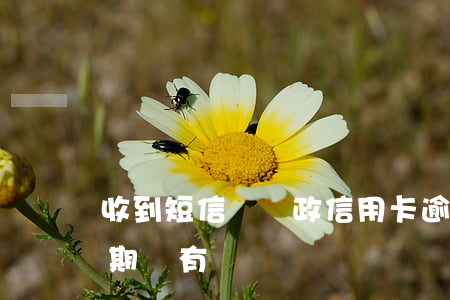 收到短信說郵政信用卡逾期（郵政信用卡有逾期沒有）