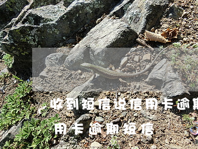 收到短信说信用卡逾期今明两日(收到一条信用卡逾期短信)