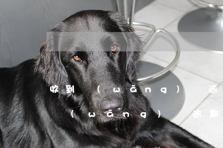 收到網(wǎng)貸逾期律師函該怎么辦(網(wǎng)貸逾期了發(fā)了律師函怎么辦)