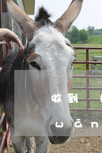 收到網(wǎng)貸逾期短信通知書(網(wǎng)貸嚴(yán)重逾期警告短信)
