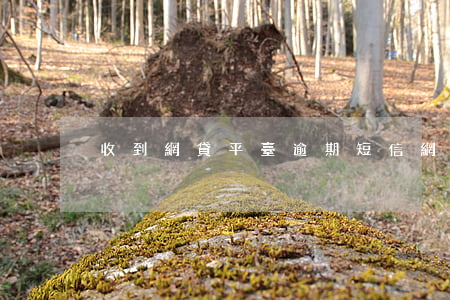 收到網貸平臺逾期短信(網貸逾期短信內容)