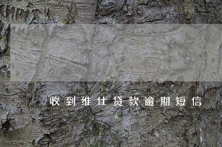 收到维仕贷款逾期短信