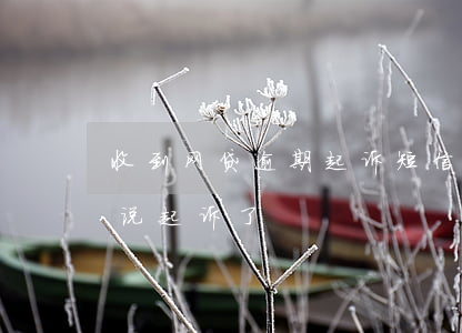 收到网贷逾期起诉短信(网贷逾期了收到短信说起诉了)