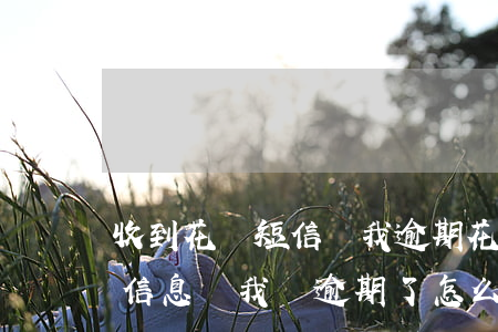 收到花唄短信說我逾期(花唄老是發(fā)信息給我說逾期了怎么會回事)