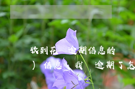 收到花唄逾期信息的號碼(花唄老是發(fā)信息給我說逾期了怎么會回事)