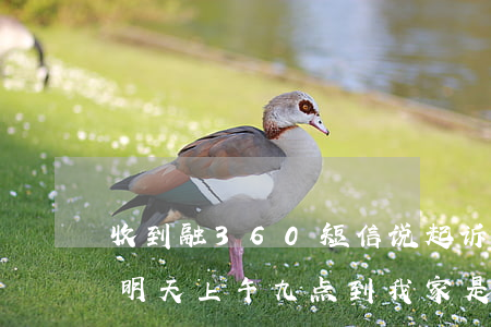 收到融360短信说起诉(融360发短信说明天上午九点到我家,是真的吗)
