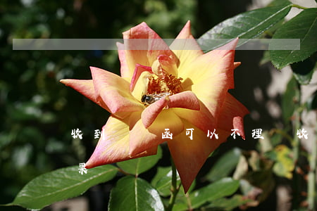 收到訴訟函可以不理嗎(收到律師函不理的后果)