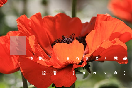 收到說(shuō)我逾期的短信-收到一條短信說(shuō)我逾期