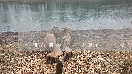 收到逾期的信息是真的嗎（卻收到逾期短信）