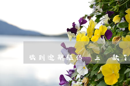收到逾期短信馬上還款了(逾期還款短信內容)