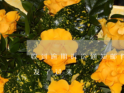 收到逾期诉讼通知邮件（信用卡逾期诉讼邮件发了过来）