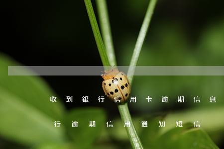 收到銀行信用卡逾期信息上征信嗎-收到銀行逾期信用通知短信
