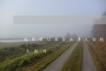 收到银行催告函多久会起诉(催告函发出后多久起诉)