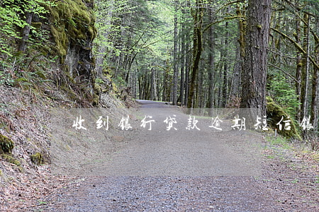 收到银行贷款逾期短信(银行发短信说我逾期)