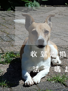 收到離婚起訴信息后可以聯(lián)系法官嗎(起訴離婚多久可以聯(lián)系法官進(jìn)行調(diào)解)