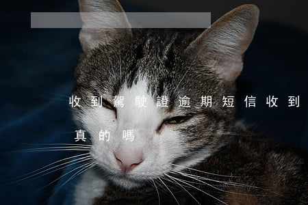 收到駕駛證逾期短信(收到駕駛證逾期短信是真的嗎)