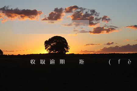 收取逾期車拖車費(fèi)違法嗎