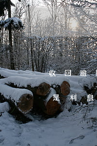收回逾期貸款先沖本金(逾期還款先還本金還是利息)