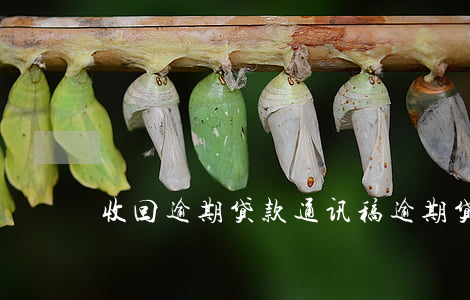 收回逾期贷款通讯稿(逾期贷款清收)