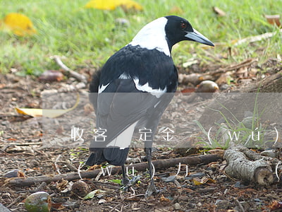 收客戶定金無(wú)力償還(收客戶定金無(wú)力償還會(huì)怎么樣)