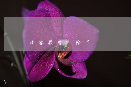 收容教育廢除了嗎
