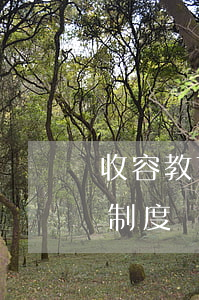 收容教育的法律法規(guī)(收容教育制度規(guī)定在哪些規(guī)范性文件里)