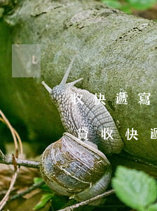 收快遞寫(xiě)真名欠網(wǎng)貸(收快遞寫(xiě)真名欠網(wǎng)貸)
