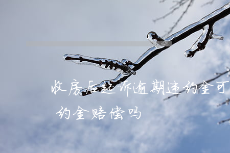 收房后起诉逾期违约金(可以先收房,再起诉违约金赔偿吗)