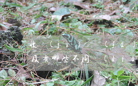 收據(jù)與發(fā)票的定義是什么及有哪些不同點(diǎn)