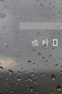 收料員可以起訴欠錢嗎(收料員的職責)