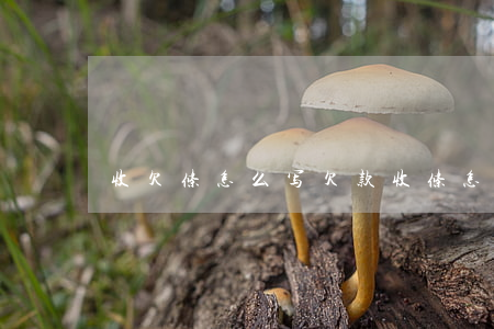 收欠条怎么写(欠款收条怎么写)