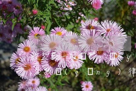 收欠款一般請(qǐng)律師大概多少錢(欠款請(qǐng)律師的費(fèi)用要多少)