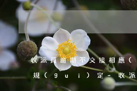收派員逾期不交接相應(yīng)的懲罰規(guī)定-收派員逾期不交接相應(yīng)的懲罰規(guī)定是什么