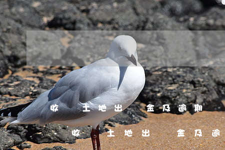 收繳土地出讓金及逾期違約金行為是否可訴-收繳土地出讓金及逾期違約金行為是否可訴